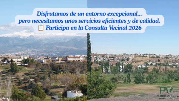 Encuesta Vecinal Pedro Verde 2026