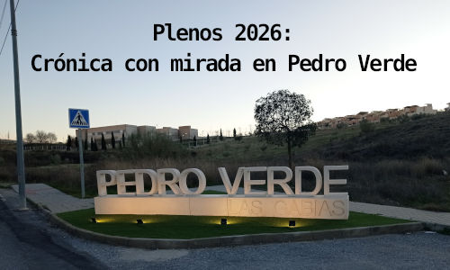 Crónica de los plenos con mirada en Pedro Verde